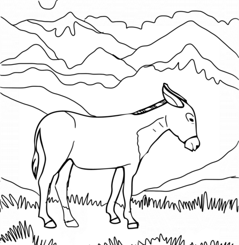 Cute Burro Coloring Page